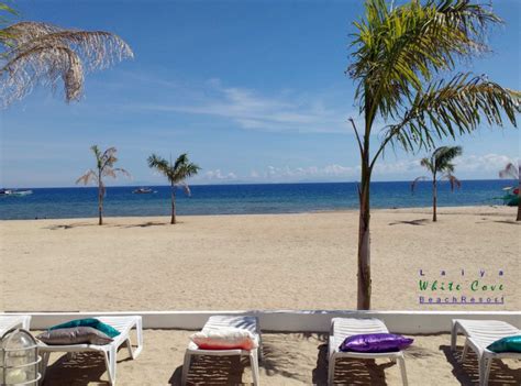laiya white cove|HOME .